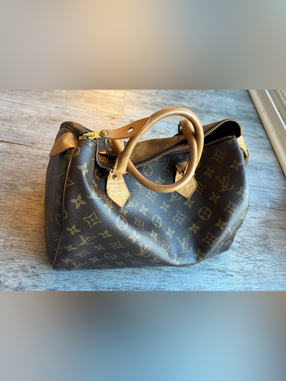 Louis Vuitton Monogram 2006 Speedy 30